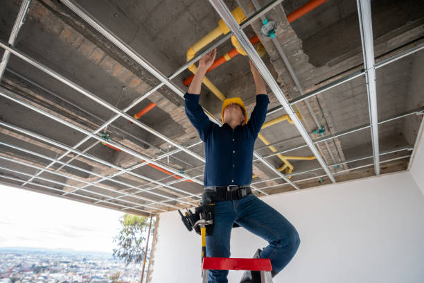 Best Residential Plumbing Services  in Ocoee, FL