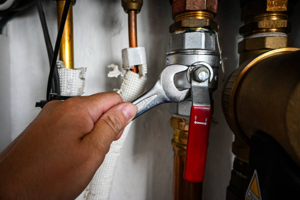 Best Local Plumber Services  in Ocoee, FL